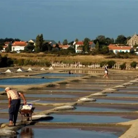 Studio 2 Personnes Entre Le Quartier Des Roses Et Les Presidents : Proche Plage Et Commerces. Les Sables-dʼOlonne